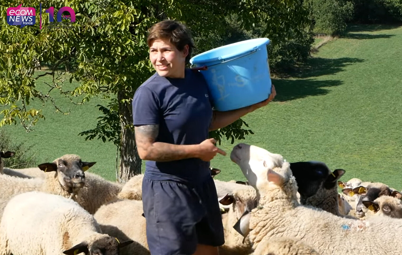 Transmission d’exploitations en Cauvaldor : un reportage du média Ecomnews