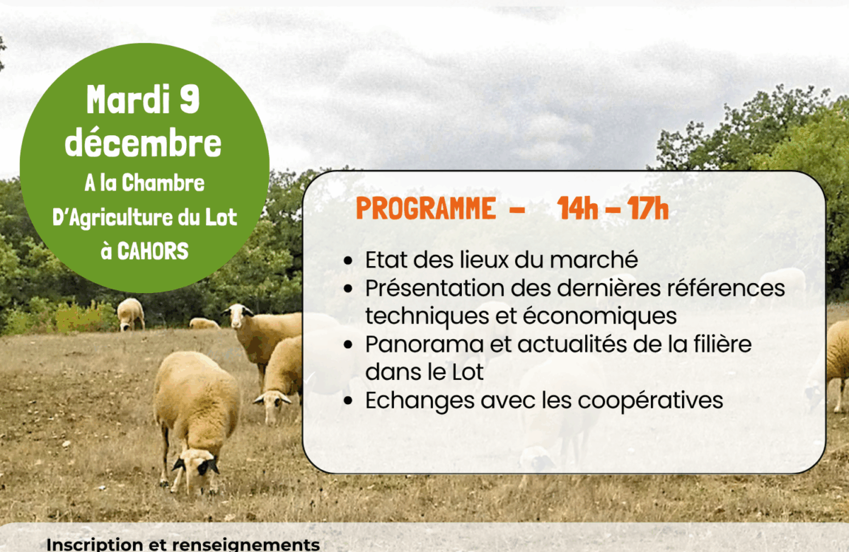 Rencontre technique et filière ovin viande bio, le 9 décembre