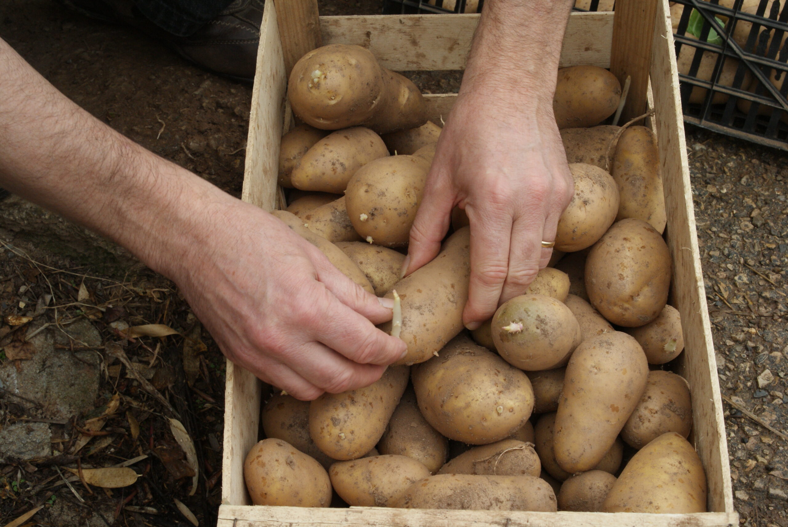 Jardinez avec la lune