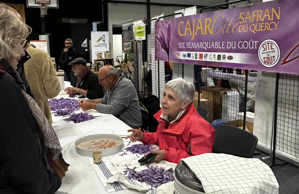 Fête du safran 2025 : enthousiasme pour la reine des épices du Lot