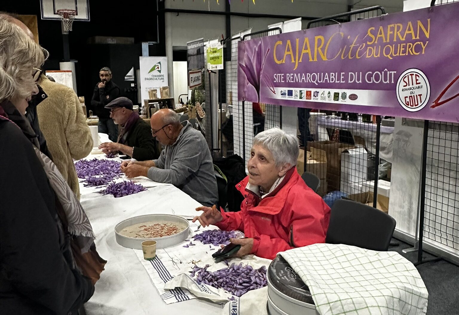 Fête du safran 2025 : enthousiasme pour la reine des épices du Lot