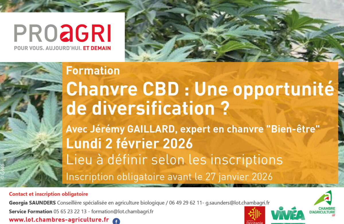 Inscrivez-vous à la formation « Chanvre CBD : une opportunité de diversification »