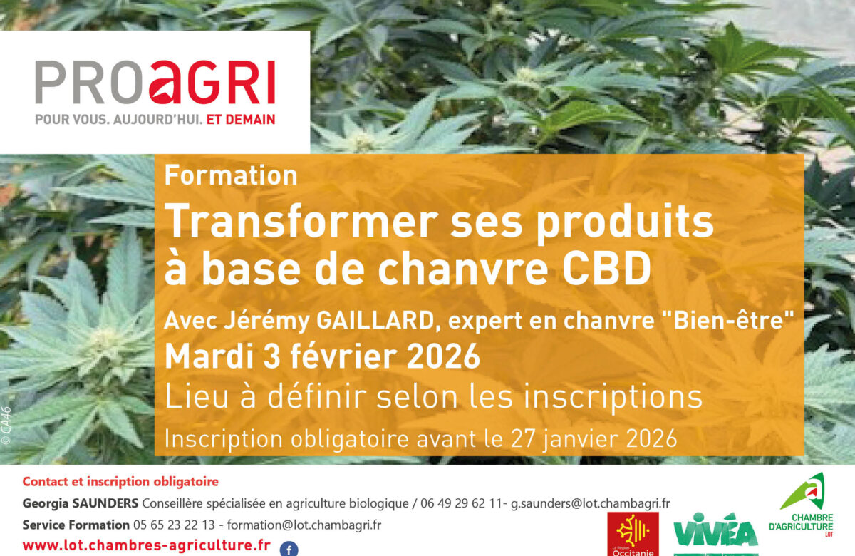 Formation « Transformer ses produits à base de chanvre CBD »