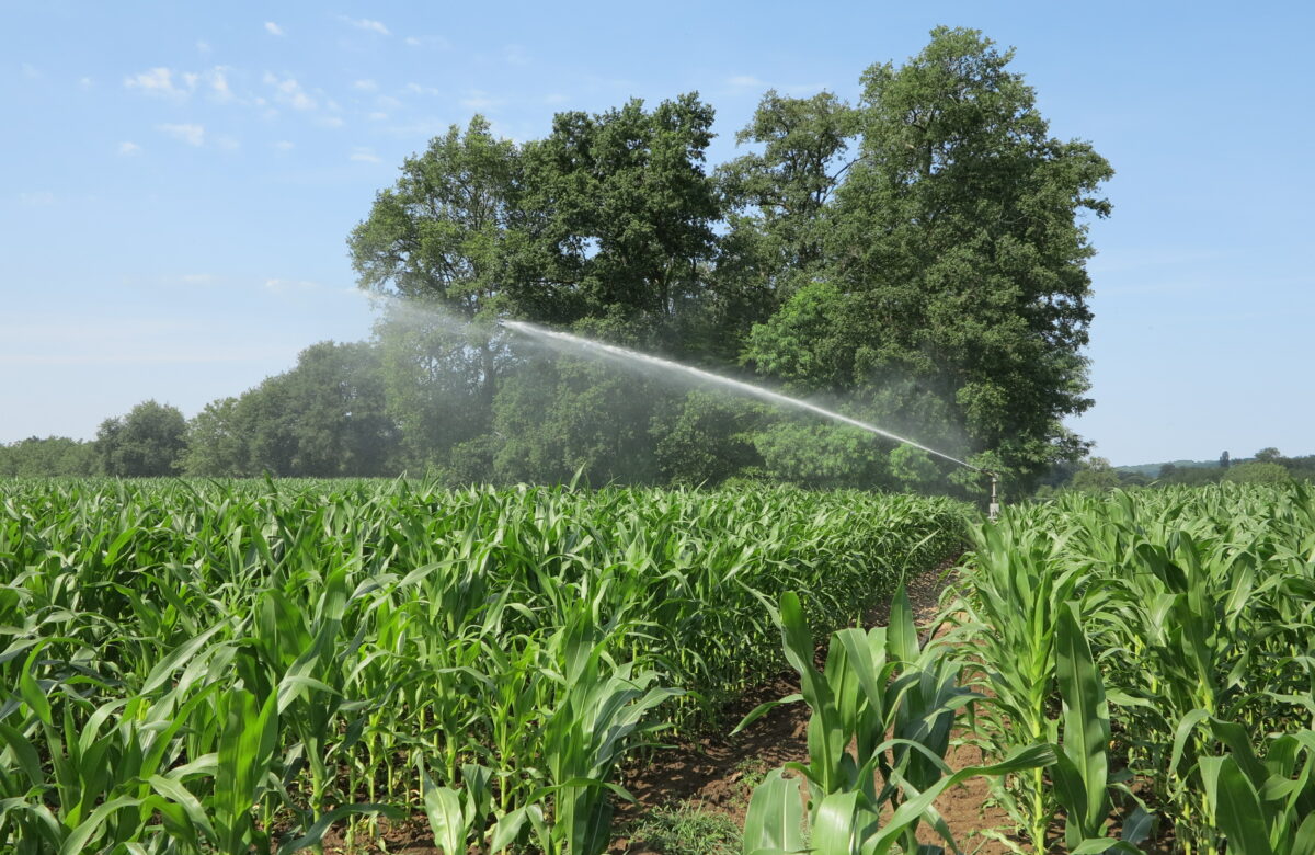 Bilan de la campagne d’irrigation : 2025, l’été le plus sec de la décennie dans le Lot