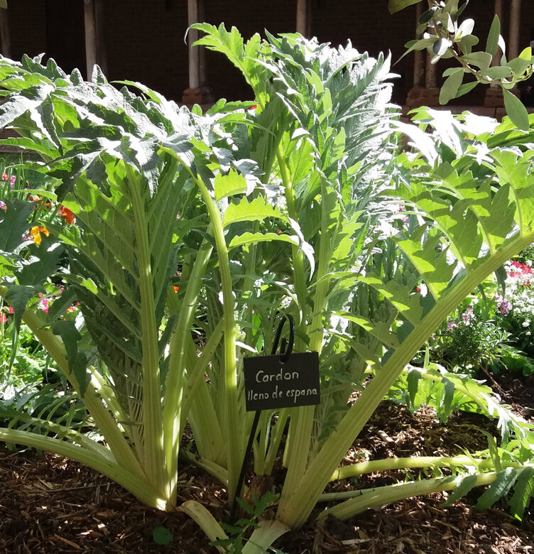 Jardinez avec la lune