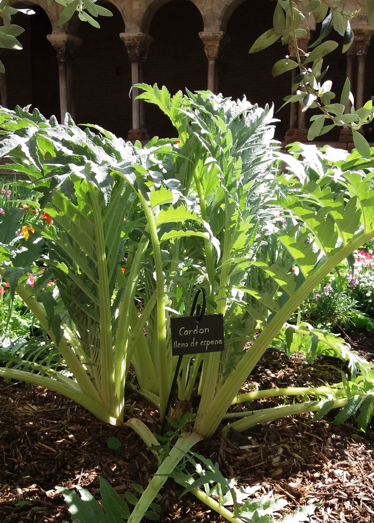 Jardinez avec la lune