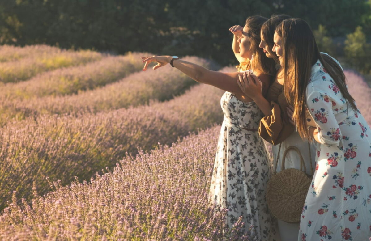 Le 15 novembre, « Le mystère du mas » : un rallye-game pour découvrir de la lavande du Quercy
