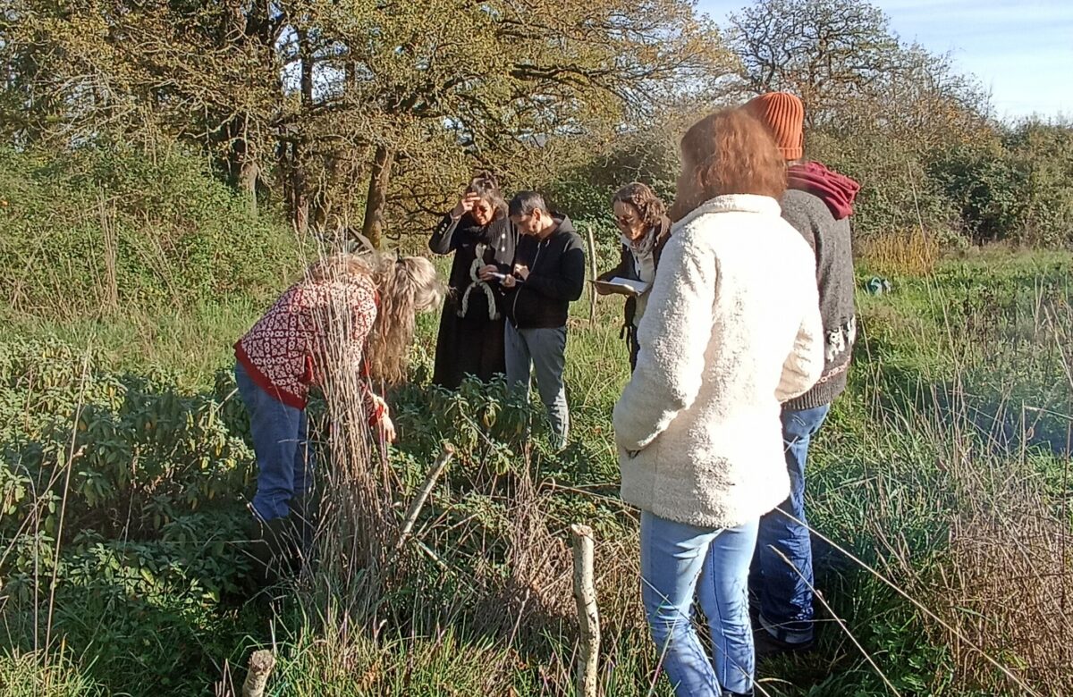 Plantes à parfum, aromatiques et médicinales : nouvelle étape en vue d’une structuration collective durable de la filière