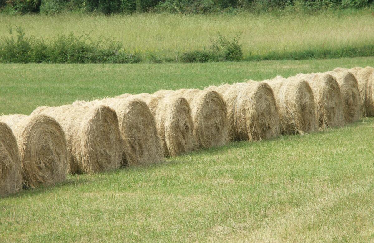 Analyses des fourrages, terres et eau : le laboratoire départemental propose des réductions de coût