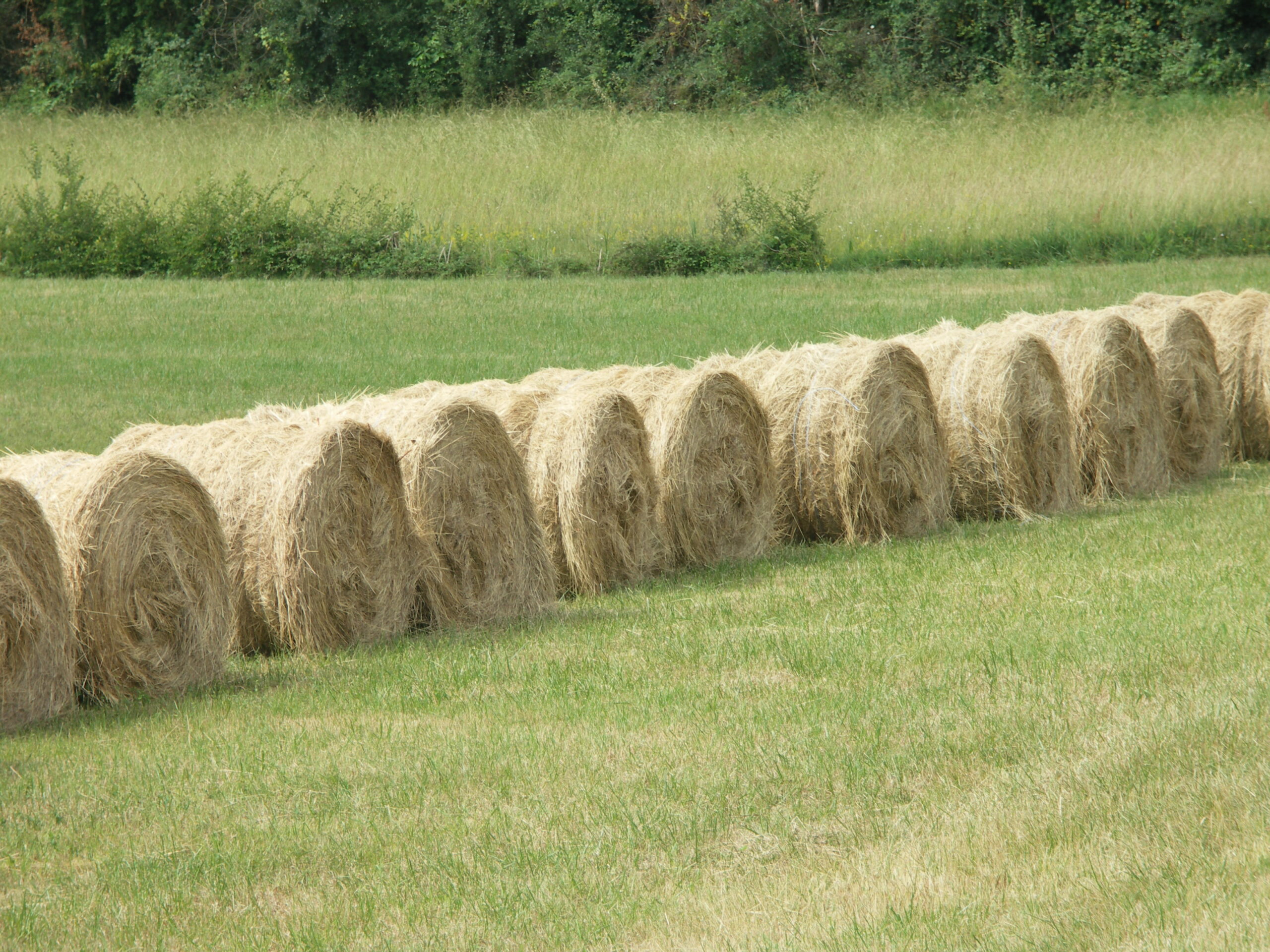 Analyses des fourrages, terres et eau : le laboratoire départemental propose des réductions de coût