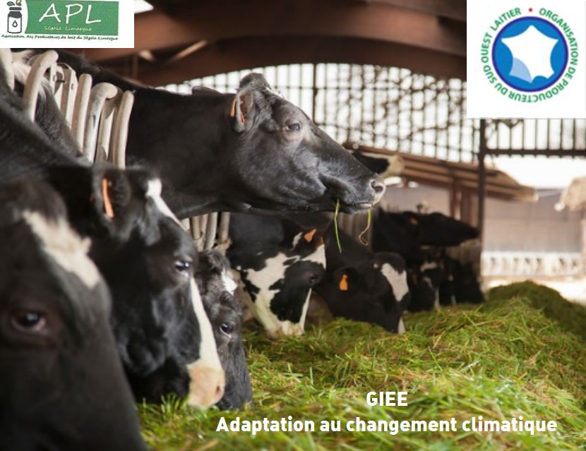 Un capteur pour évaluer le stress thermique  et mesurer l’ambiance du bâtiment 24h/24 en élevage