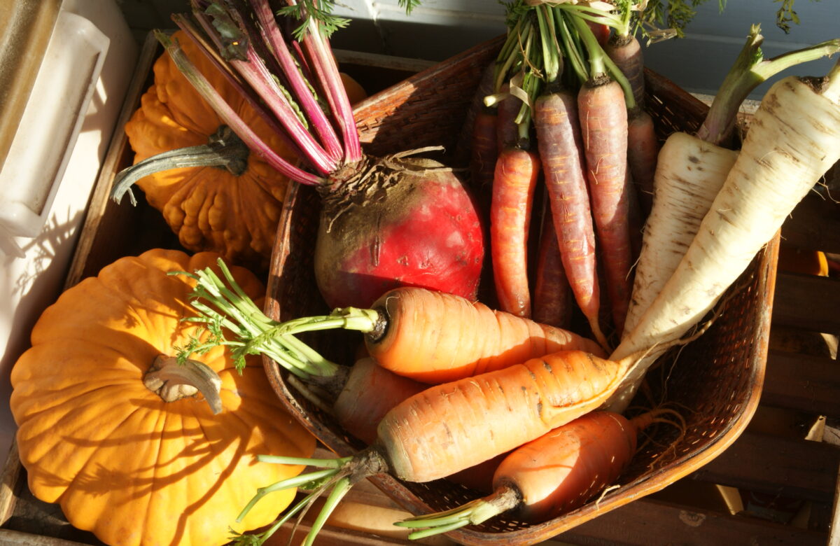 Jardinez avec la lune