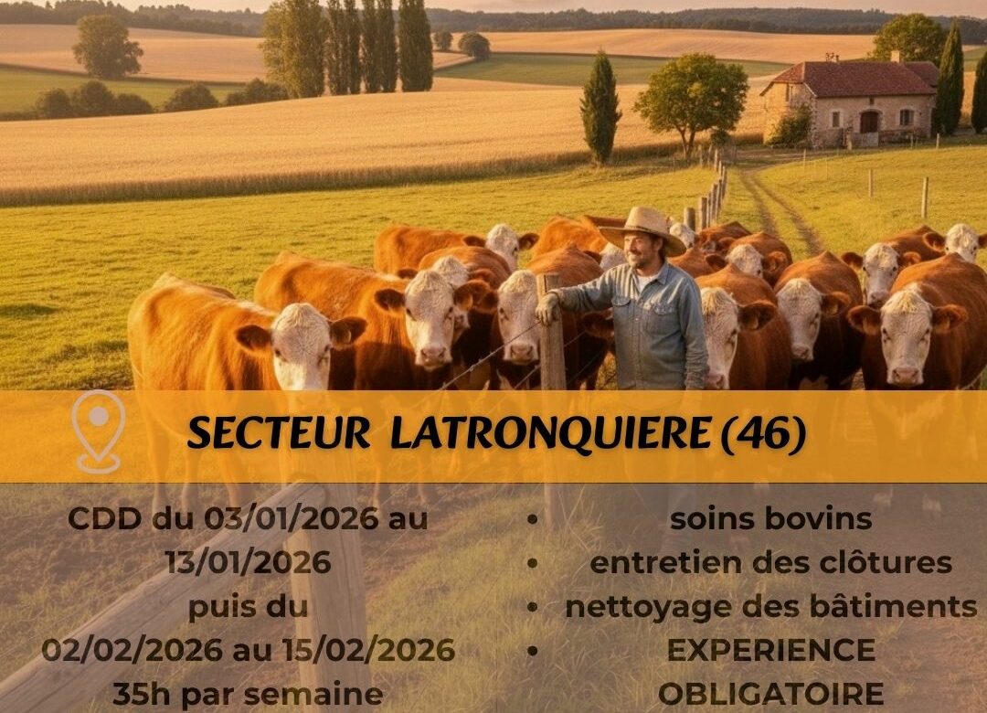 Offre d’emploi ouvrier agricole Latronquière