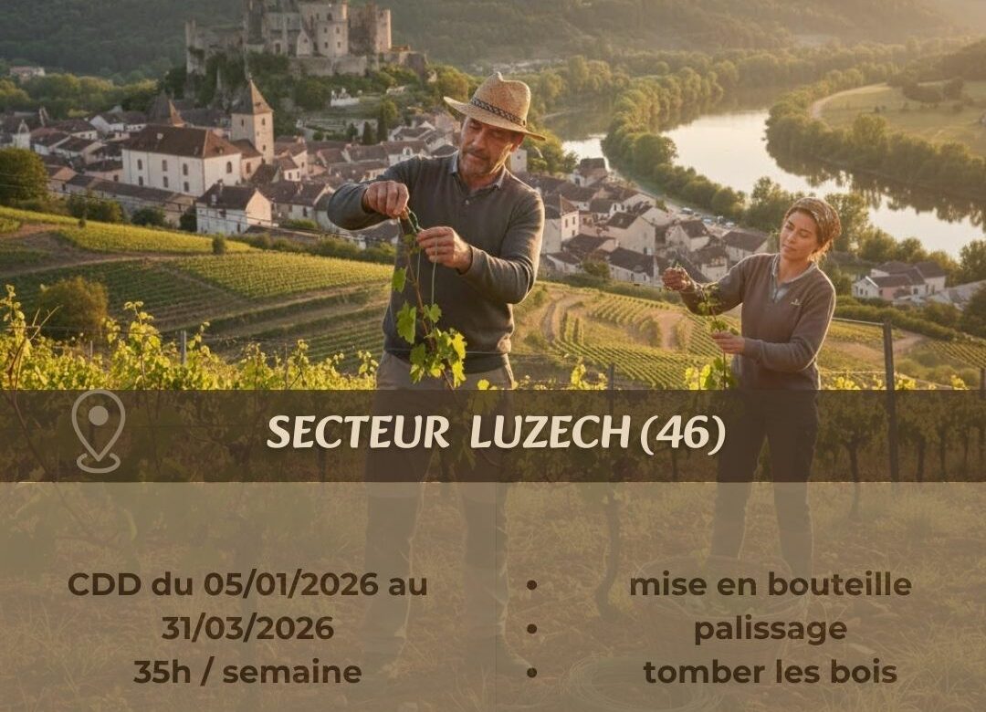 Offre d’emploi ouvrier agricole Luzech