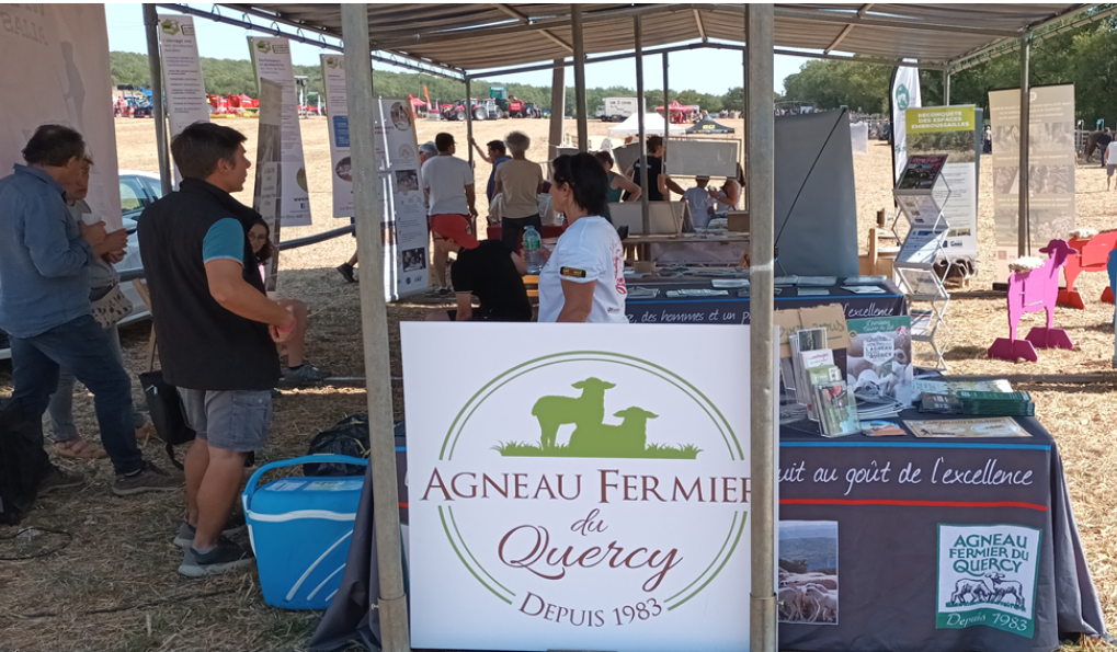 L&rsquo;agneau fermier du Quercy souhaite plus d&rsquo;installations de jeunes éleveurs