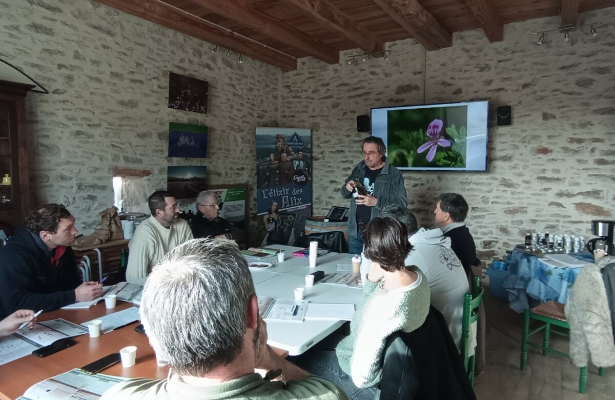 Une formation dédiée à la gestion du troupeau ovin par les plantes