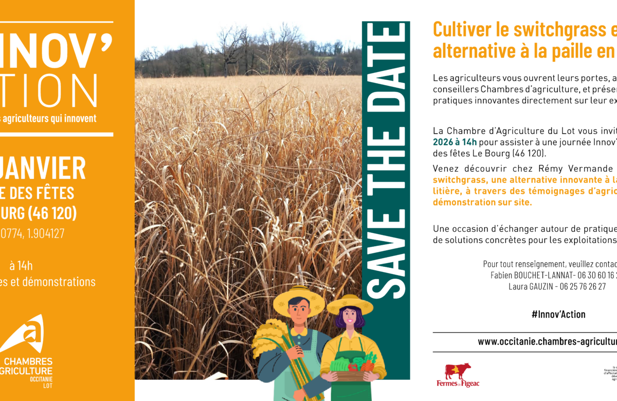 Journée innov&rsquo;Action&nbsp;: Cultiver le switchgrass, une alternative à la paille en litière