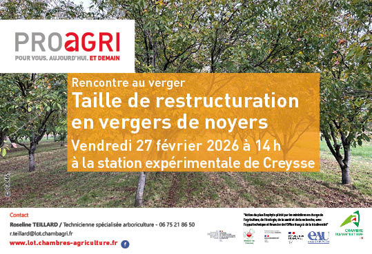 Rencontre bout de champs&nbsp;: noyers