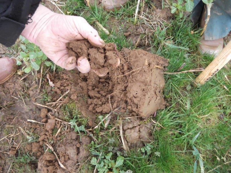 Préservez la santé et la fertilité de vos sols