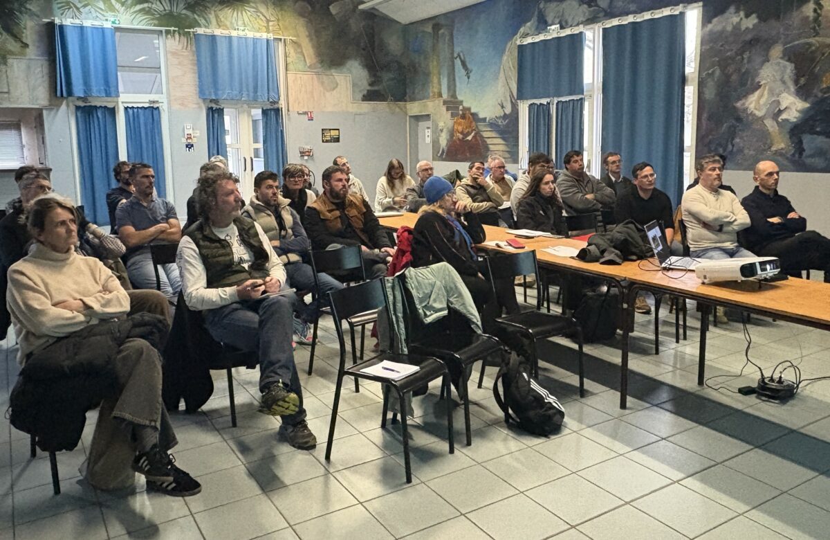 Diversification : que faire de ses parcelles après l’arrachage de vignes ?