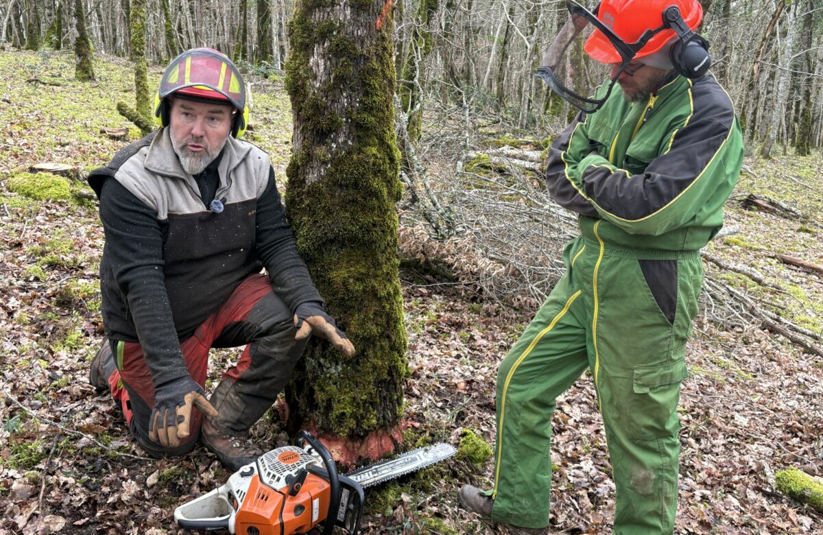 Formation bûcheronnage : la nécessité de manipuler une tronçonneuse en toute sécurité