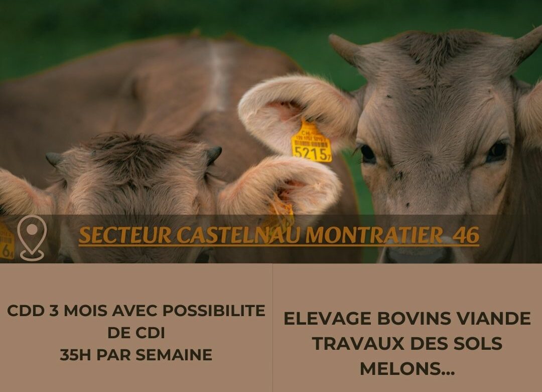 Offre d’emploi ouvrier agricole Secteur Castelnau-Montratier