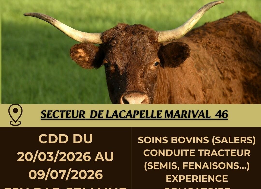 Offre d’emploi ouvrier agricole Secteur Lacapelle-Marival