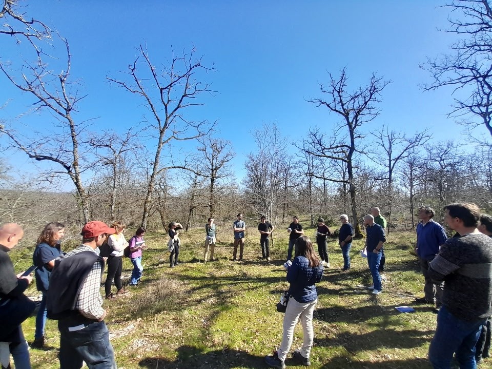 Le sylvopastoralisme&nbsp;: une pratique durable pour concilier pâturage et gestion forestière
