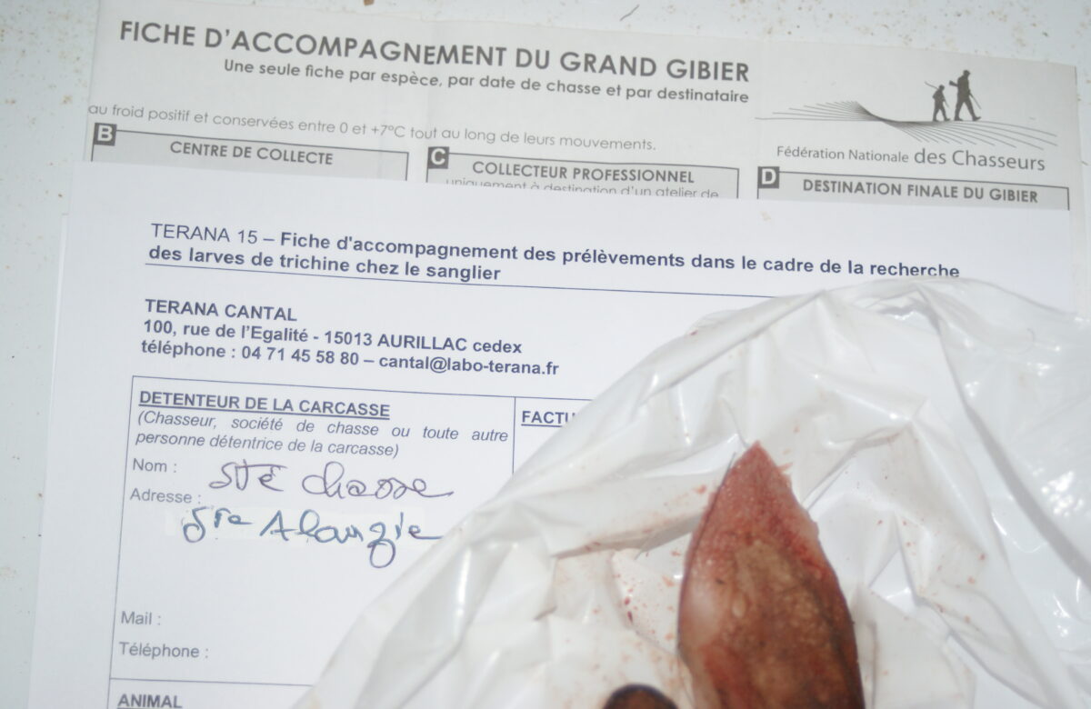 Trichine&nbsp;: Un parasite dont le dépistage est indispensables