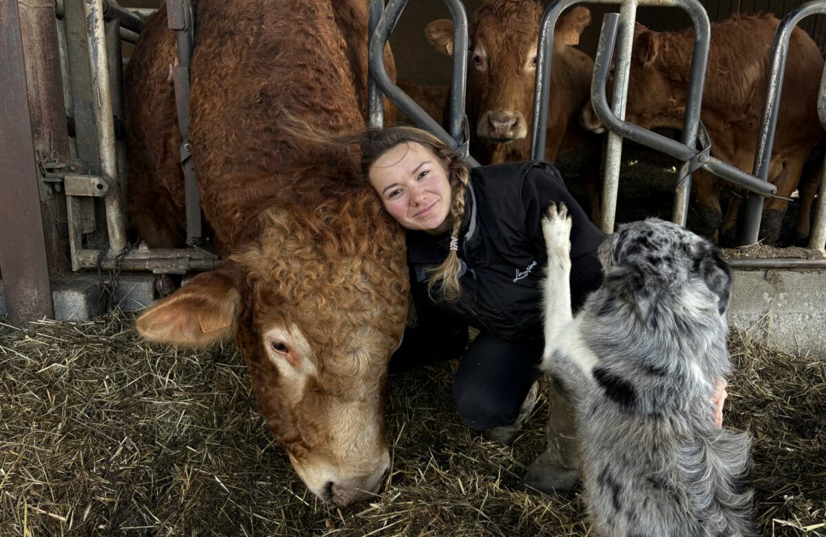 Portrait. Laura Gauzin, éleveuse de bovins et conseillère à la chambre d’agriculture