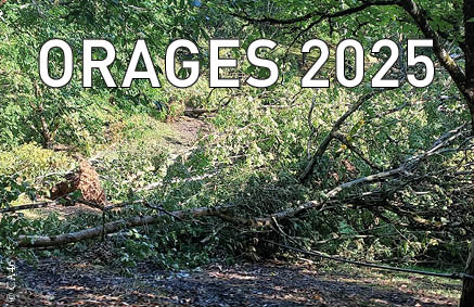 Orages 2025&nbsp;: ouverture des demandes d’indemnisation pour les arboriculteurs