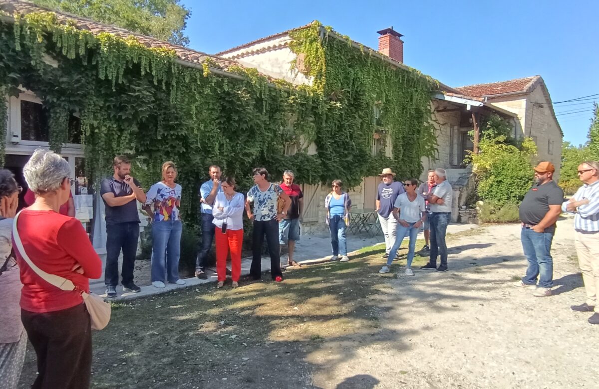 Quercy PPAM : une filière locale de plantes aromatiques en plein essor dans le Lot