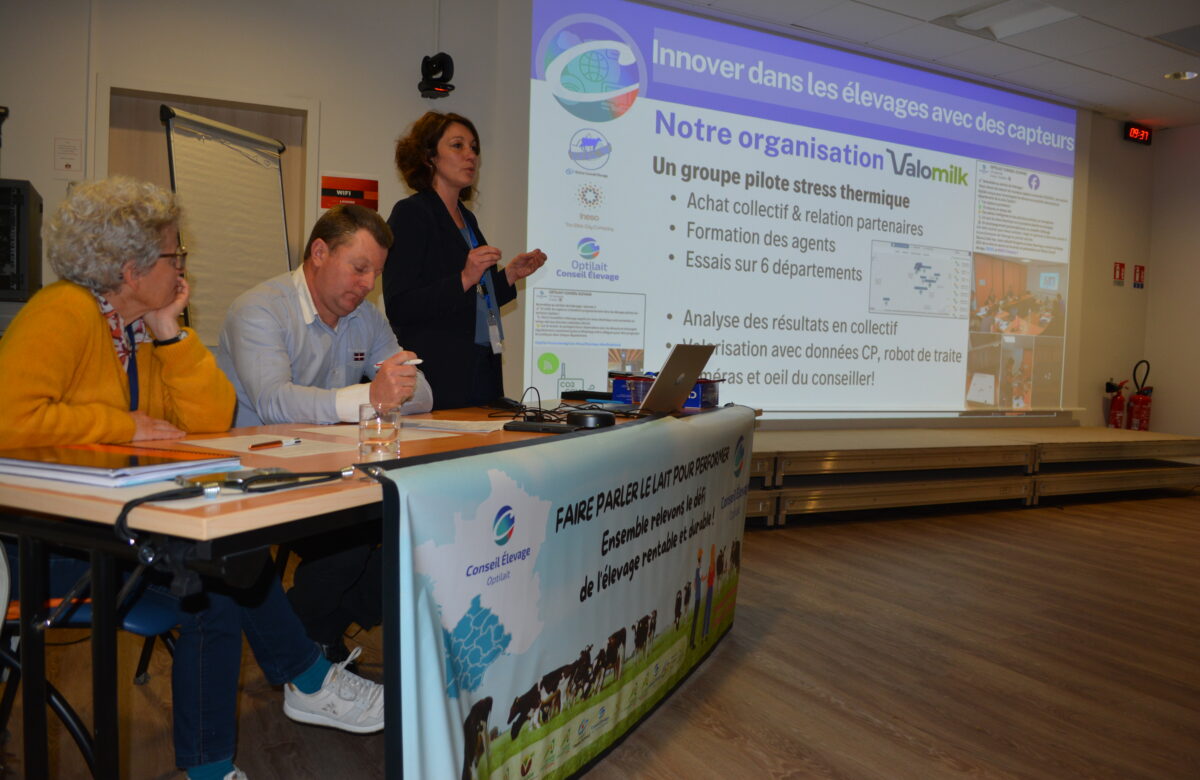 Optilait : Au service des éleveurs laitiers du Sud-Ouest