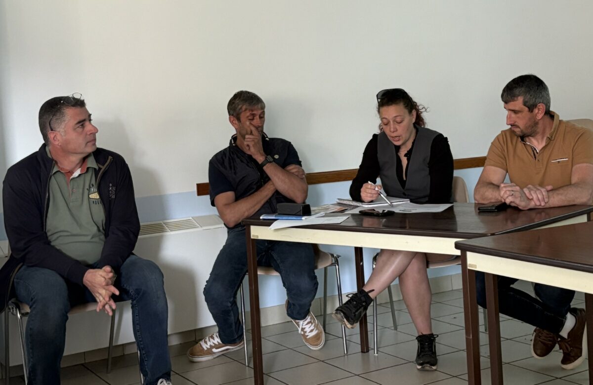 Ovilot mise sur la génétique et le collectif pour renforcer la filière ovine