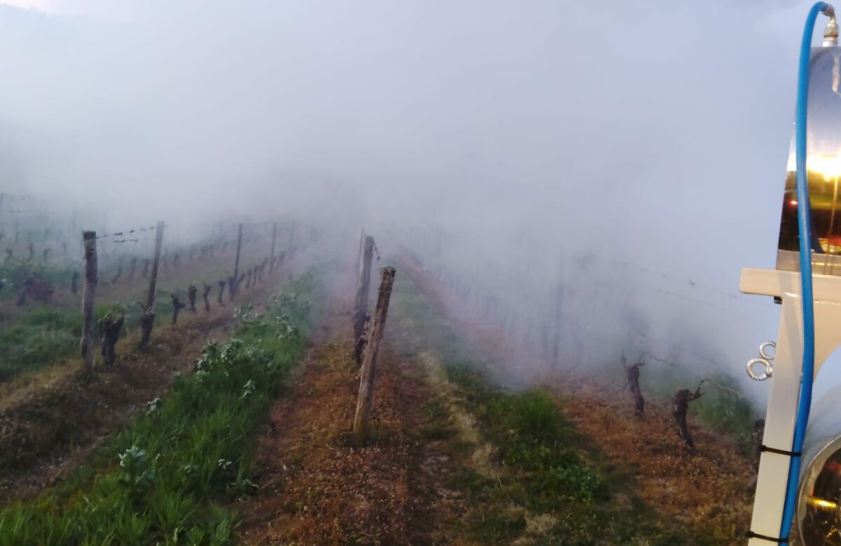 Entretien. “Face à la nature, on est peu de choses”, Emilien Siréjol, vigneron dans le Lot