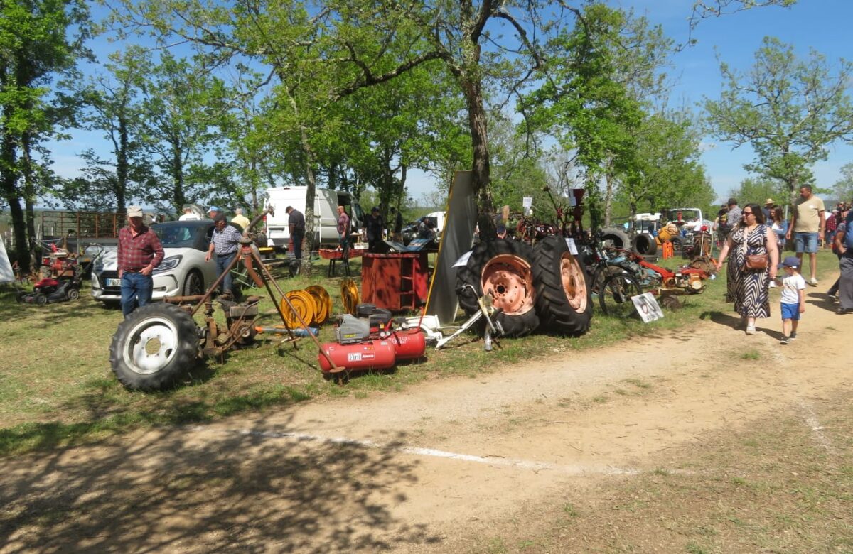 Flaujac-Poujols : L’édition 2026 de la Foire agricole a été “satisfaisante”, selon ses organisateurs