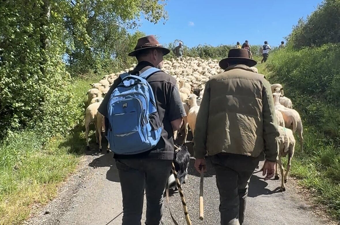 Vidéo. Abdon Calvo, à l'origine de la transhumance Rocamadour-Luzech s'exprime sur l'événement