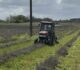 Loi d'urgence agricole : le gouvernement propose des mesures pour aider les agriculteurs