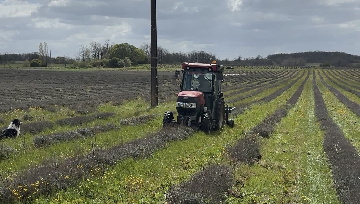 Loi d&rsquo;urgence agricole&nbsp;: le gouvernement propose des mesures pour aider les agriculteurs