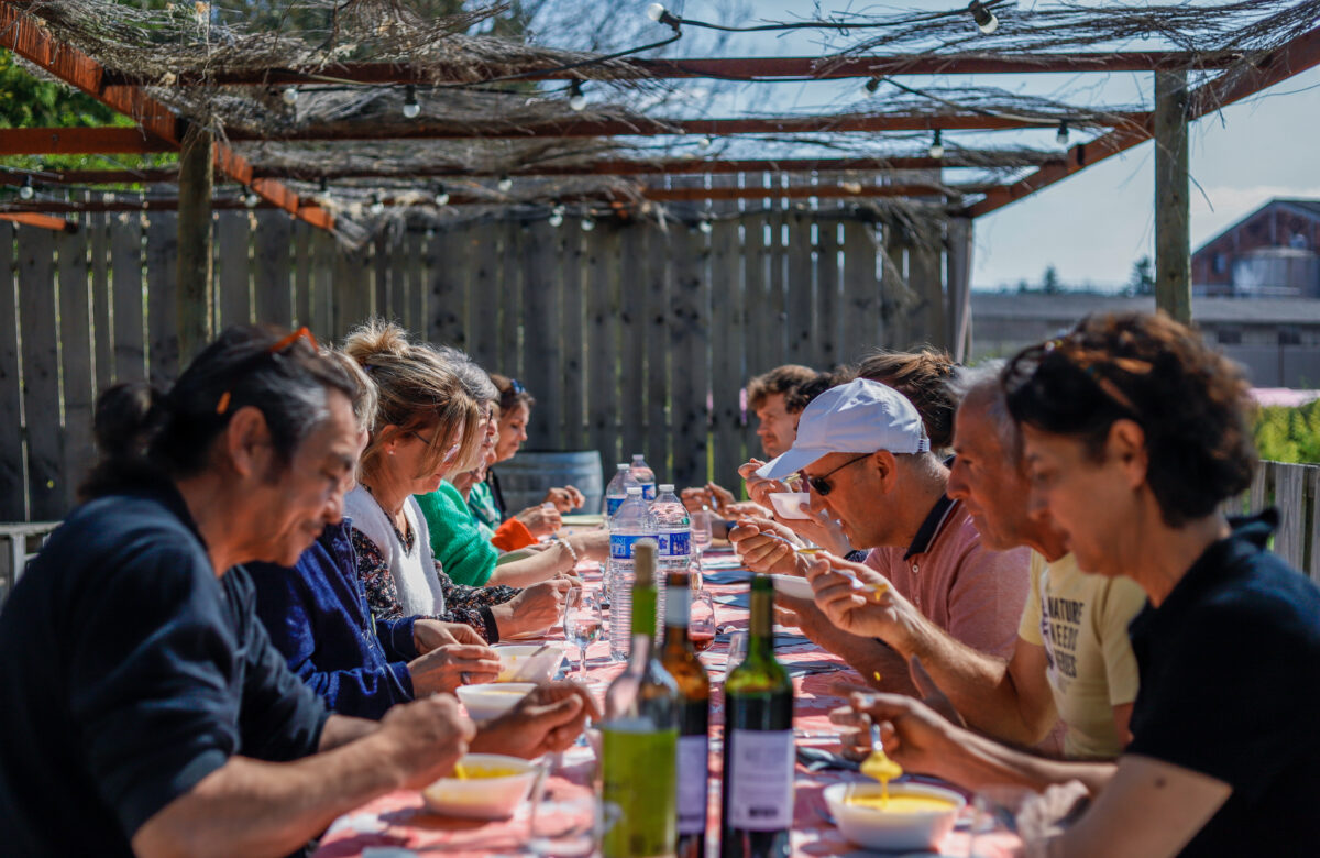 Vignes, lavande et porte-clefs connectés : les fermiers du Lot s’offrent une journée d’avenir