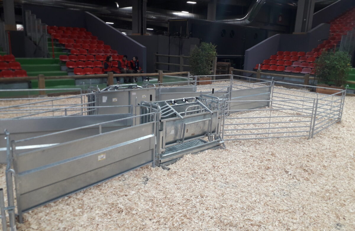 Chronique ovine. Les différents modèles de cages de retournement
