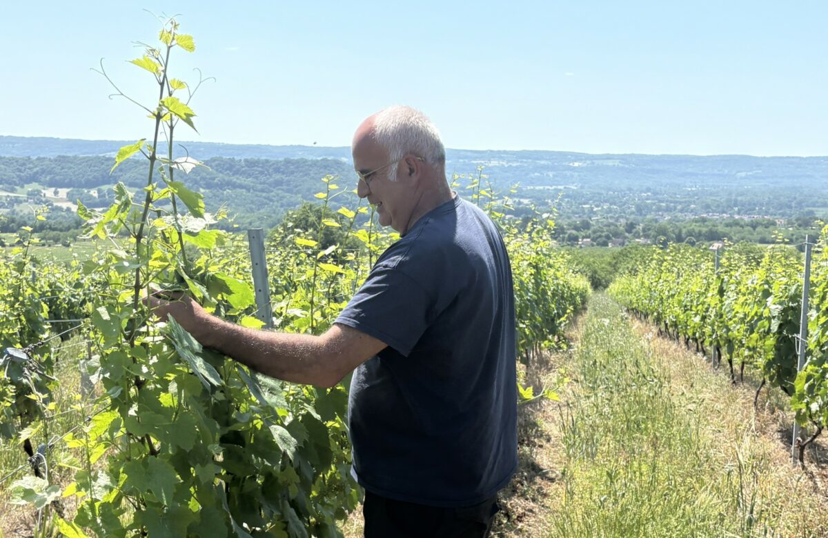 Entretien. "Cétait tabou", Jacques Ferrand, viticulteur, à propos de la transmission de son exploitation