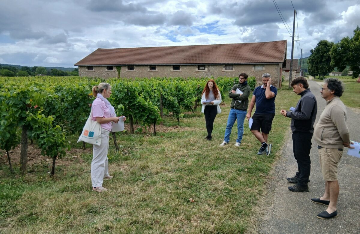 Communiqué. Viticulture : une journée consacrée aux maladies et aux cépages résistants à la ferme d’Anglars-Juillac