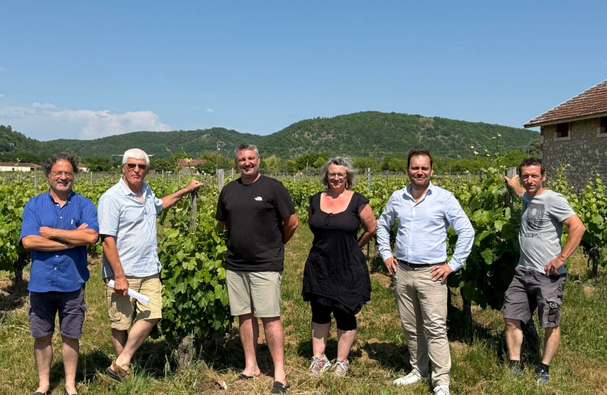 Ferme d’Anglars-Juillac : une structure expérimentale dédiée à la viticulture et à l'oenologie