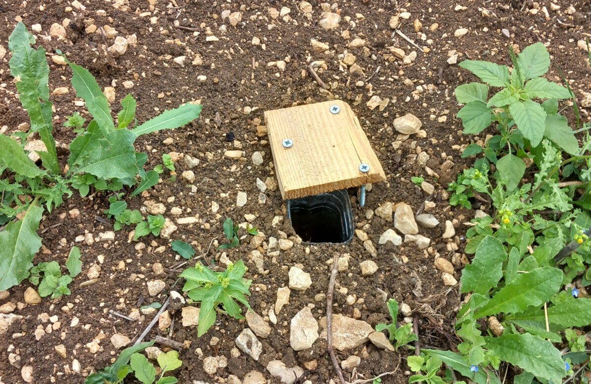 Communiqué : Viticulture Mesurer l’impact des haies et des couverts sur la biodiversité