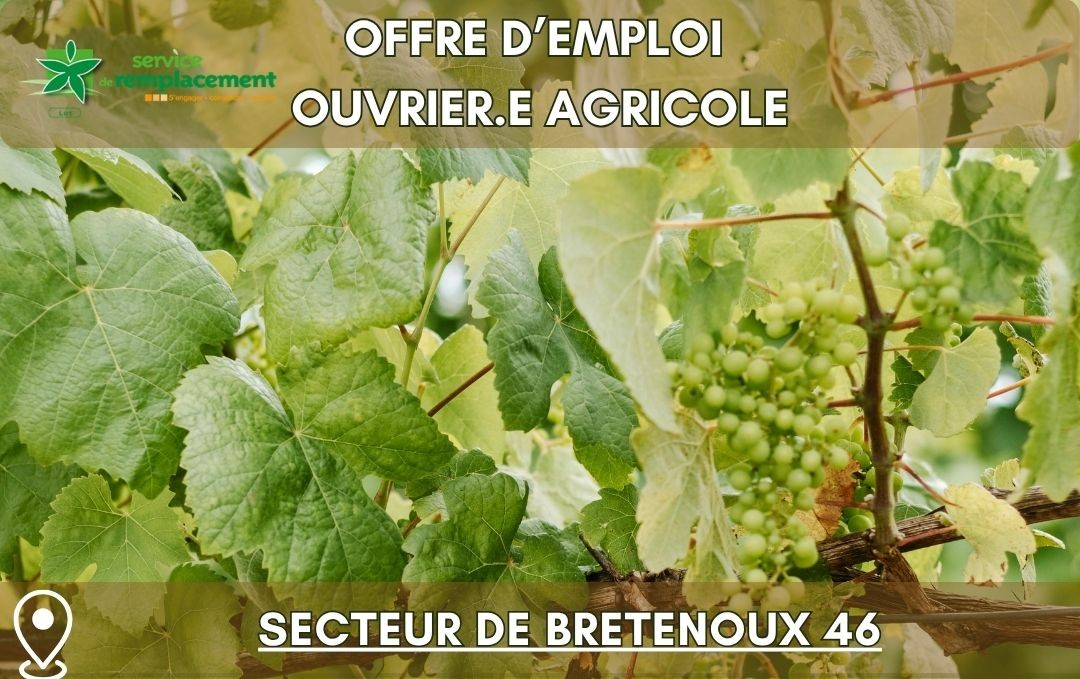 Offre d’emploi – Secteur Bretenoux