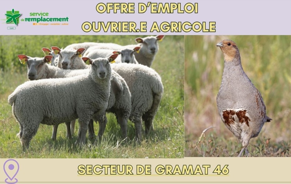 Offre emploi secteur Gramat