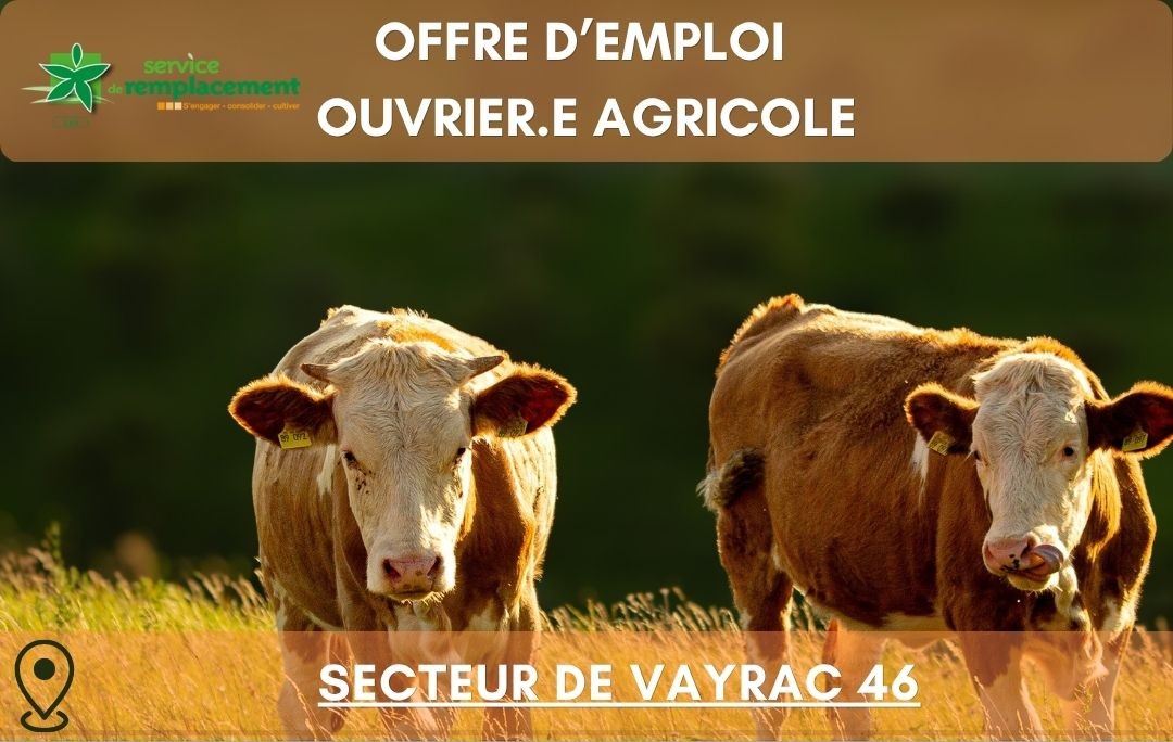 Offre d’emploi – Secteur Vayrac