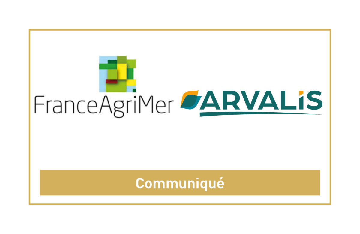 Communiqué conjoint FRANCEAGRIMER / ARVALIS : Qualité de la récolte 2026 des céréales à paille