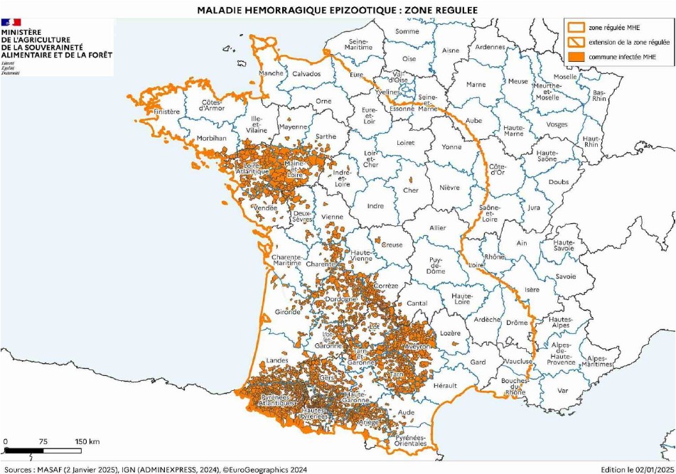 Maladie hémorragique épizootique  Trois années de progression avant un net ralentissement